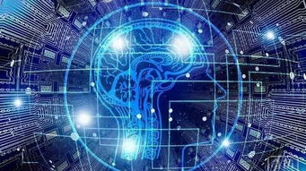 人工智能系统开发 重塑医疗保健未来的浪潮